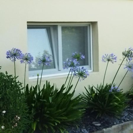 Les Hortensias Fortschwihr Εξωτερικό φωτογραφία