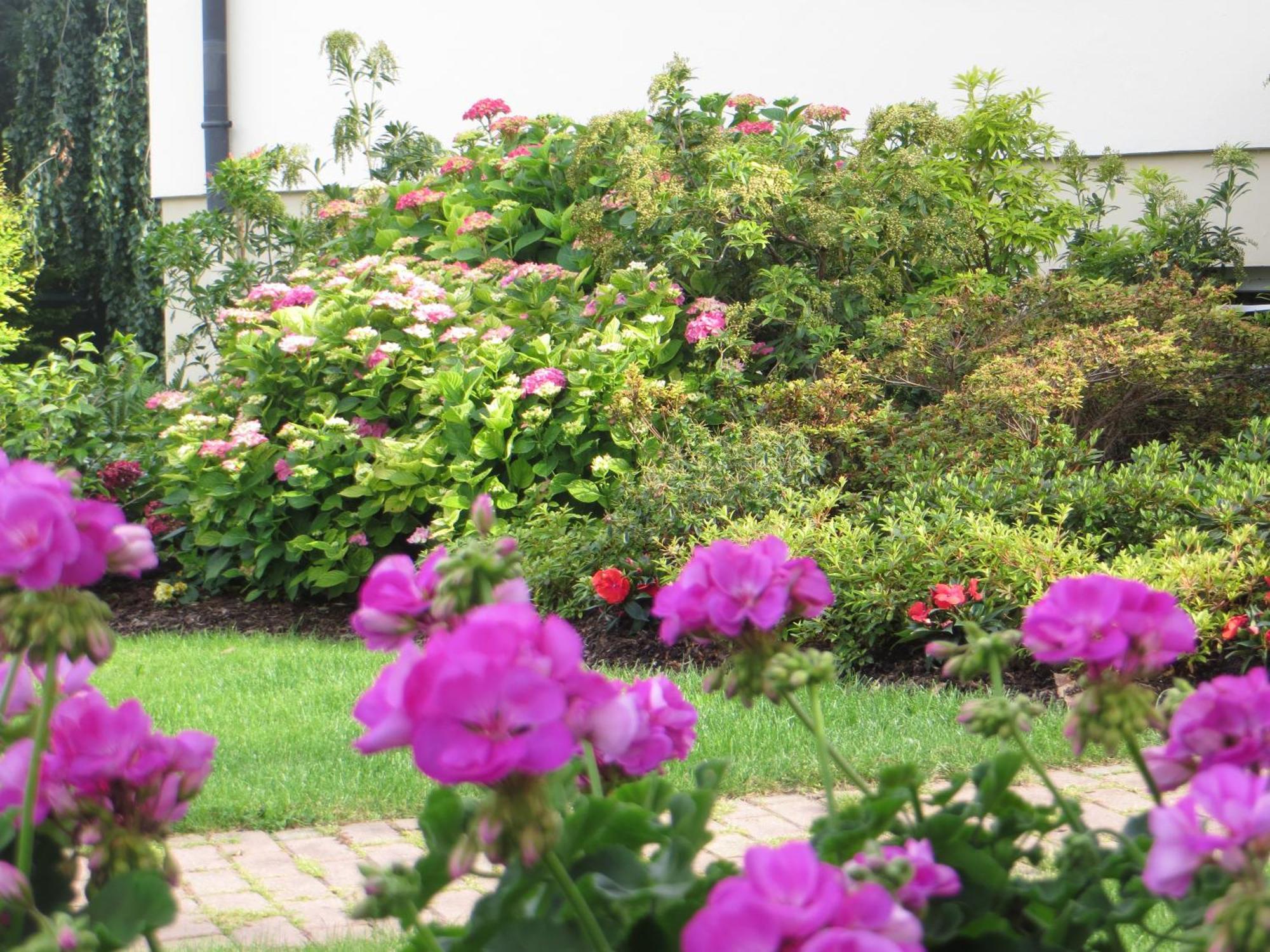 Les Hortensias Fortschwihr Εξωτερικό φωτογραφία