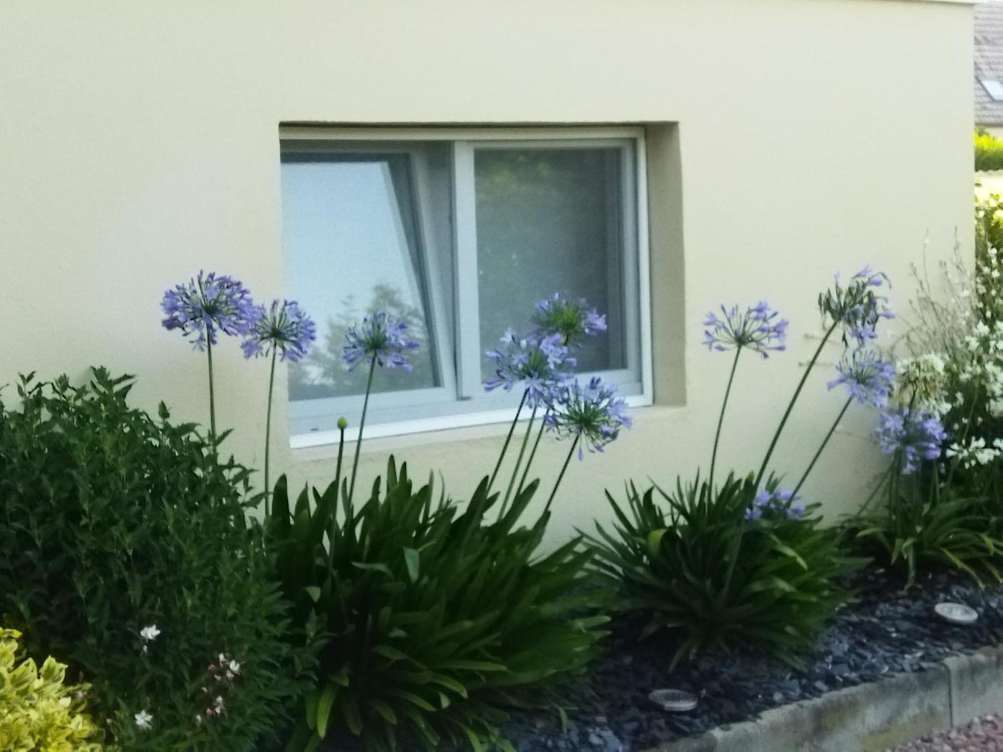 Les Hortensias Fortschwihr Εξωτερικό φωτογραφία